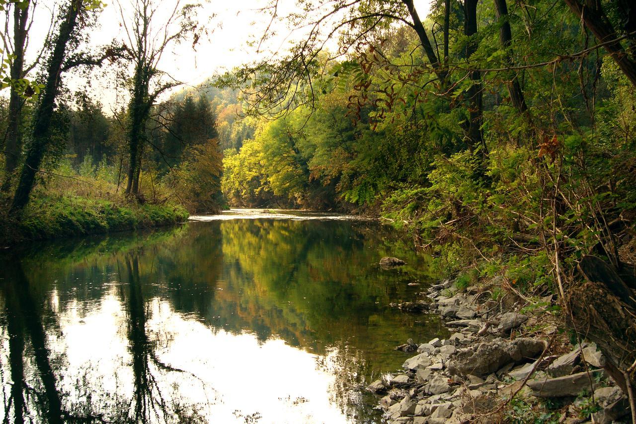 Gasthof Dangl Wimpassing an der Pielach ภายนอก รูปภาพ